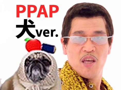 ピコ太郎びっくり Ppap犬バージョンの動画がかわいすぎる 扉のとびら 話のネタ 雑記
